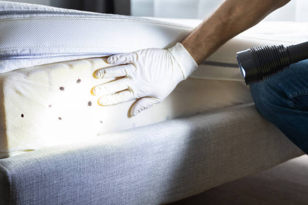 Best Best Pest Control Companies  in Stedman, NC